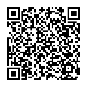 处于对气味敏感期的凌菲嗅到了淡淡的血腥味和・・・・・・尿骚的味道二维码生成