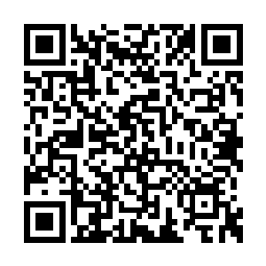 备战二十六号省里的检查团和五一节的旅游高峰二维码生成