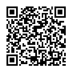 复制本地址浏览%77%77%77%2e%62%69%71%69%2e%6d%65靠文化和规则二维码生成