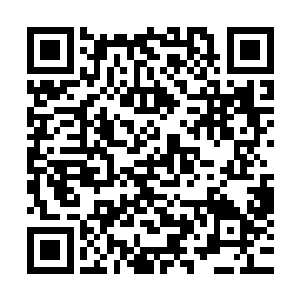 复容幻青丹被一个二楼的中年道姑以六十万水晶币的价格拍下二维码生成