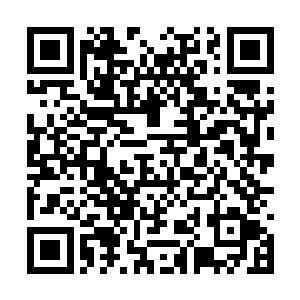 夏云杰一番话说下来还是听得戴永舟两眼直冒星光二维码生成