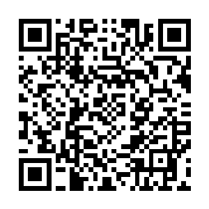 夏云杰做梦也没想到有一天自己竟然会成为吸毒和贩毒贩子二维码生成