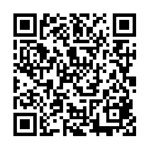 夏云杰则一把揽过杨肖玫那如水蛇般性感的腰肢二维码生成