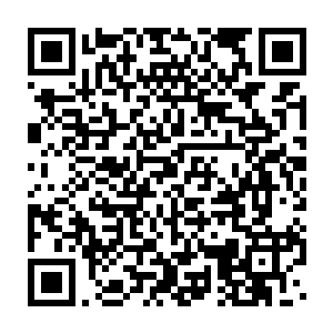 夏云杰刚才眼目所看到的灵草仙药不过只是这不死神山中的沧海一粟二维码生成