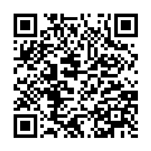 夏云杰对她还是有着一丝别样的爱怜和愧疚感情的二维码生成