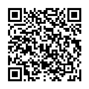 夏云杰就算用脚趾头想也能想到肯定又免不了一顿说教二维码生成