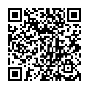 夏云杰自然不知道远蛮界岛的蛮乱之地此时正在悄然发生着变化二维码生成