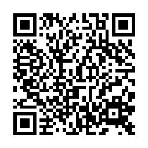 夏云杰被苏芷妍这话给说得差点就要被茶水给呛着了二维码生成