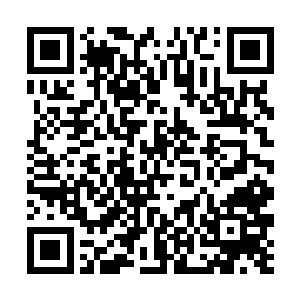 夏云杰见状又是好笑又是心疼地伸手在她后背揉了揉二维码生成