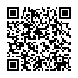 夏云杰还在不死神山上看到了许多极为珍贵的玉石仙石二维码生成