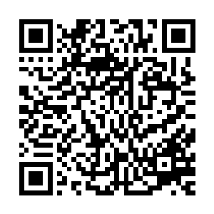 夏云杰这个酒吧打工仔在钟杨颖的心里已经开始变得神秘起来二维码生成