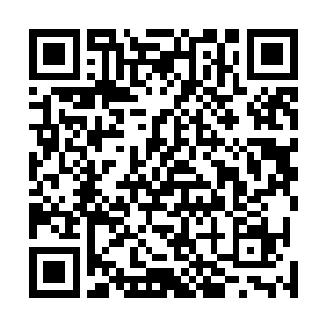 夏侯充会遭到魏延以及马军一干将士的虎视眈眈却也难怪二维码生成