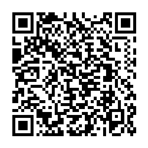 夏侯家族真正的杰出子弟都安排在了见不得光的地方经营地下势力二维码生成