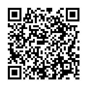 夏侯赢原本带着萧黎躲在半山腰上面的隐蔽山洞中二维码生成