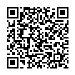 夏侯龙城…是那个前往炼狱之地参加了考核的那个吧二维码生成