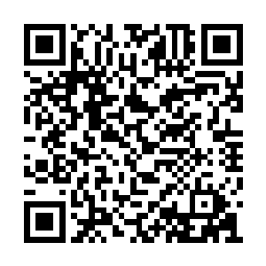 夏大人就令他们以织造衙门的名义行事不就好了二维码生成