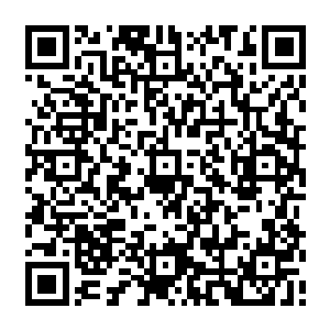夏天两兄弟到现在还不知道他们所记恨的那位廖执事已经是彻底的变成了一个白痴了二维码生成