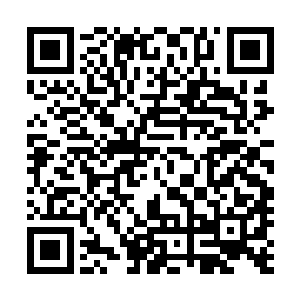 夏天仅仅只凭他一个人的力量几乎就快要横扫了整个二门了二维码生成