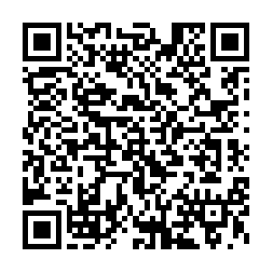 夏天兄弟俩人也终于是得到了先祖赐福从四座老祖雕像中走了出来二维码生成