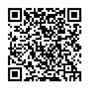 夏天又用了十万块买回来了一件价值两百万左右的项链二维码生成