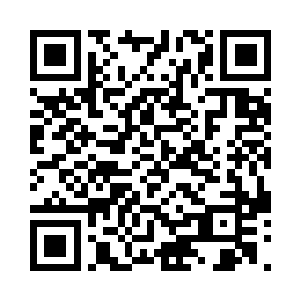 夏天吸收的虫黄之力连万分之一都不到二维码生成