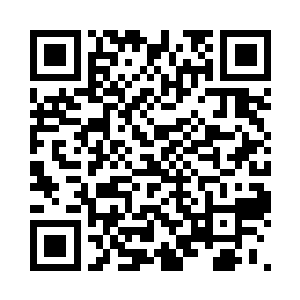 夏天在人群之中看到了诸葛王朗和洪武二维码生成