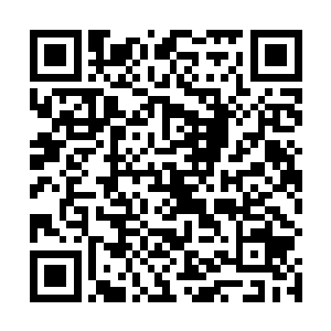 夏天将刚才从那名岛国人身上搜出来的东西扔向了徐老二维码生成