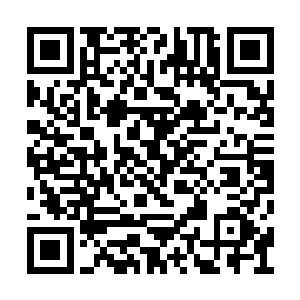 夏天小时候一直认为小姨是这世界上最美的女人二维码生成