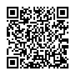 夏天就算是不使用透视眼也能猜到对方的底牌了二维码生成