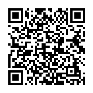 夏天已经不是之前那个对天级高手一点都不了解的人了二维码生成