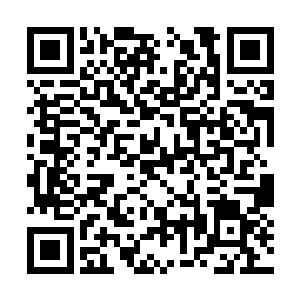 夏天带着后面这么大批的人冲了第七个光日的时候二维码生成