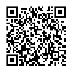 夏天手中的天寒剑也是直接将他们的武器全部斩断二维码生成