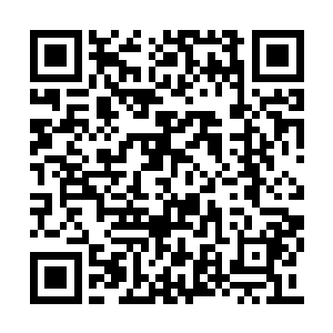 夏天挂断了电话之后看到曾柔一脸黑线的看着他二维码生成