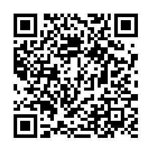 夏天无奈两根银针直接刺入了那两名二级杀手的后颈二维码生成