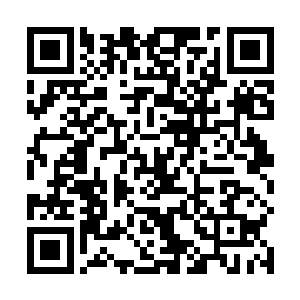 夏天服用了之前的两枚丹药之后实力都有着明显的提升二维码生成