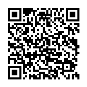 夏天正好是在让他们这些人交出身上宝物的时候二维码生成