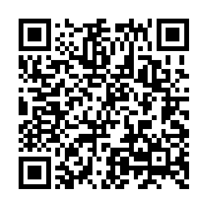 夏天的那些材料可以说是花光了他身上所有的钱二维码生成