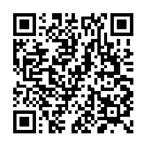 夏天直接将手腕当做右勾拳打在了杀神的下巴上二维码生成