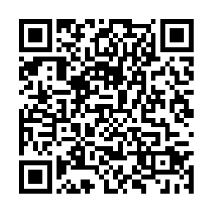 夏天直接将自己面前六十三亿的筹码全都推了上去二维码生成