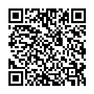 夏天祁再到医院的时候看见的便是顾景病床边围着好几个护士二维码生成