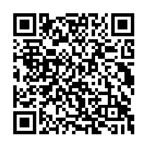 夏天走进去之后和汪冰两人直接坐在了沙发之上二维码生成