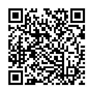 夏天身后的蓝天行和赵云鹤两人也是一脸的兴奋之色二维码生成