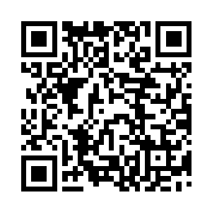 夏天还是对九鼎门的食物非常感兴趣的二维码生成