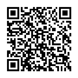 夏天这是使用最假的办法来吓唬天涯商会的人啊二维码生成