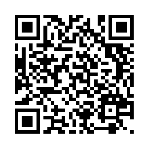 夏天都会让大家用最好的东西来救治二维码生成