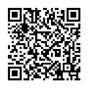 夏家军这是想要给其他的人争取到最多的时间啊二维码生成