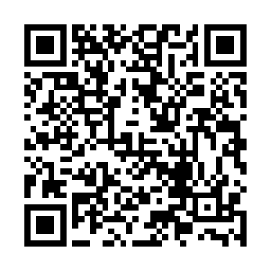 夏小菊梓箐两人几乎每天都形影不离的去漫山遍野的跑二维码生成