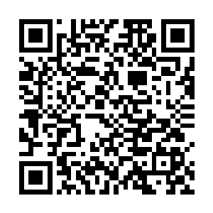 夏市长和龚局长以及各个部门的领导能來学校指导工作二维码生成