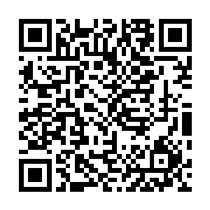 夏振西的举动让众人想起刚才楚晨灭杀先天境后期的英姿二维码生成