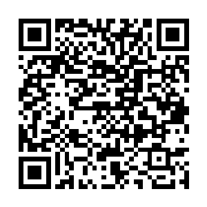 夏无双也不等其他近卫军战士和异能者战士的反应二维码生成